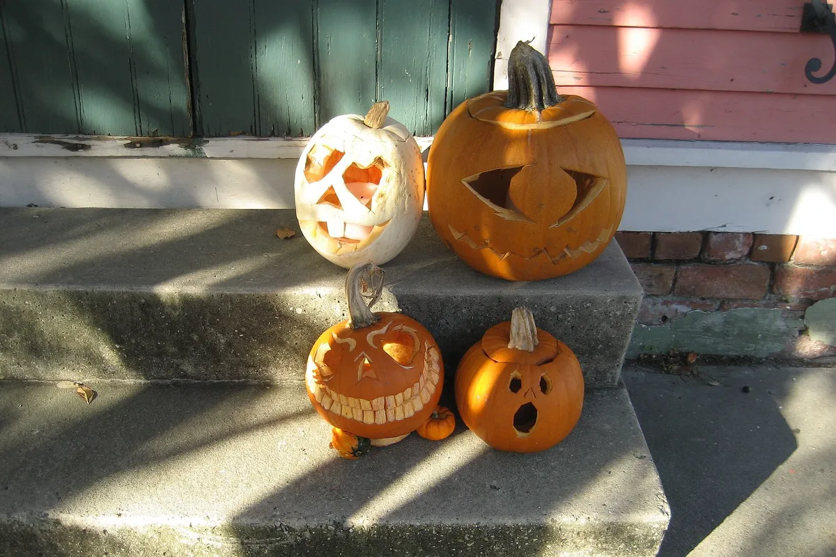 Four carved jack-o-lanterns sitting on sunlit front stoop steps in autumn
