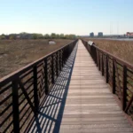 Wooden boardwalk stretching across golden marsh grasses at Mill Creek Point Park in Secaucus