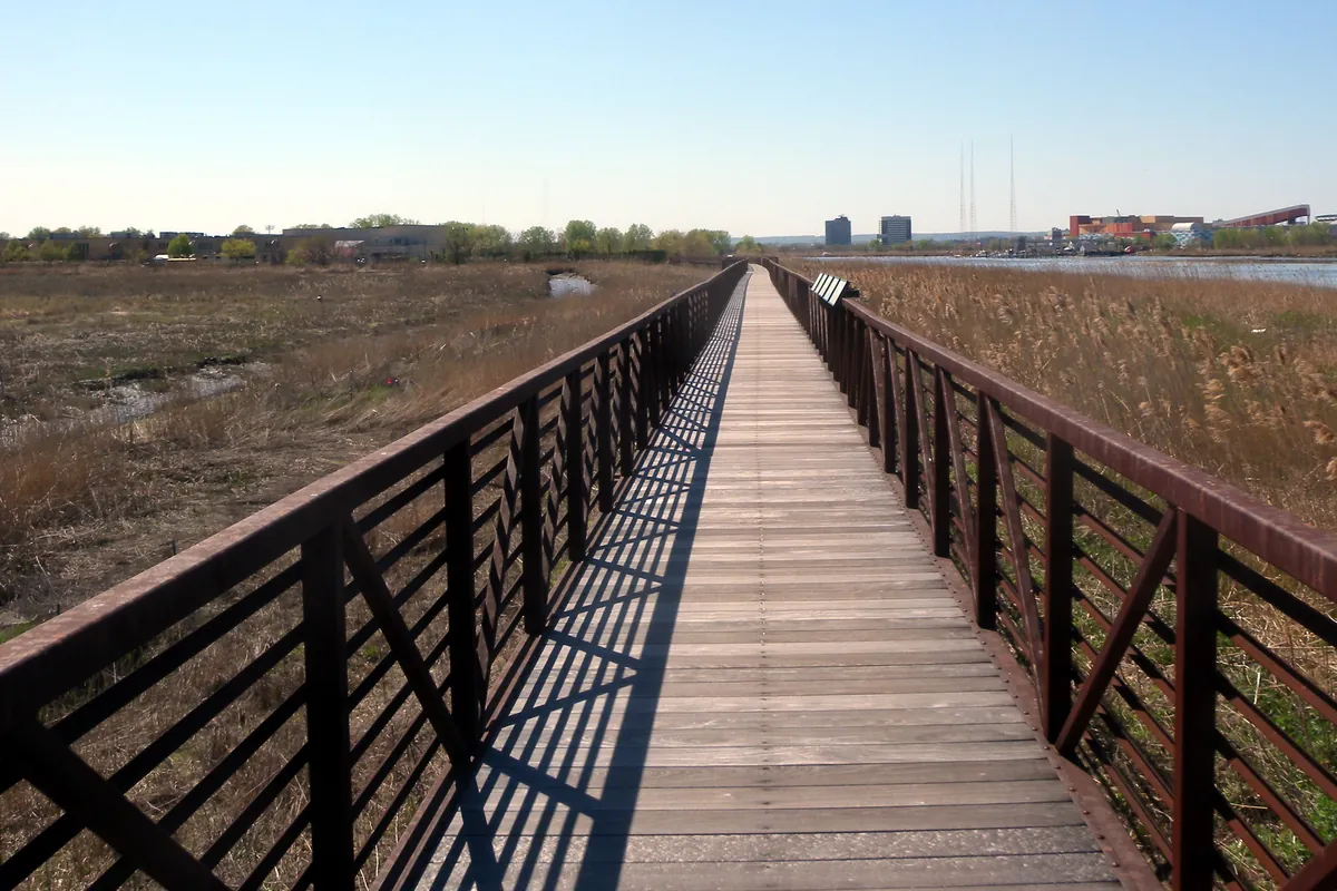 Wooden boardwalk stretching across golden marsh grasses at Mill Creek Point Park in Secaucus